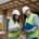 Independent Building Inspectors